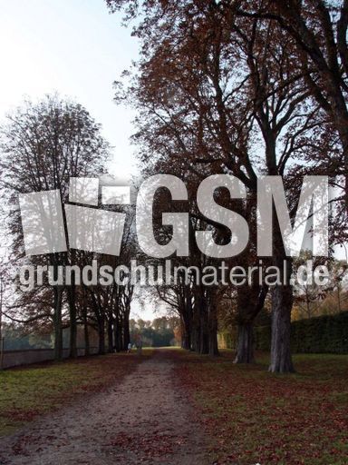 B-Herbststimmung 019.jpg